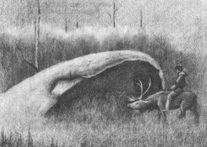 disegno