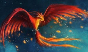 fenice