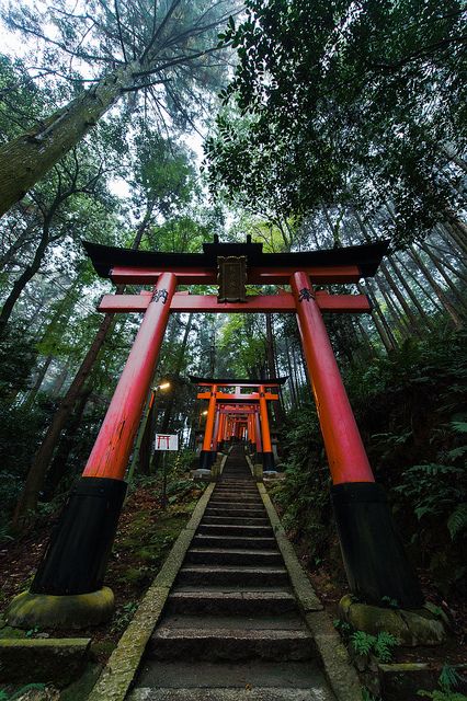 07-torii-giapponesi